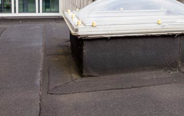 disadvantages of Ardnastang flat roofs