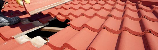 compare Ardnastang roof repair quotes